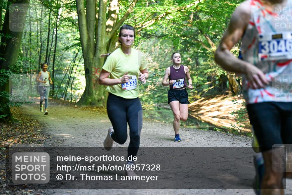 28.09.2025 - 33. Volkslauf durch das schöne Alstertal Dr. Thomas Lammeyer http://msf.ph/oto/8957328 28.09.2025 10:47:55 Laufen 333, 3223, 3046 meine-sportfotos.de