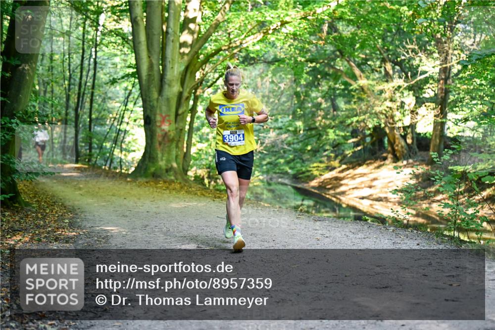 28.09.2025 - 33. Volkslauf durch das schöne Alstertal Dr. Thomas Lammeyer http://msf.ph/oto/8957359 28.09.2025 10:48:06 Laufen 3904 meine-sportfotos.de
