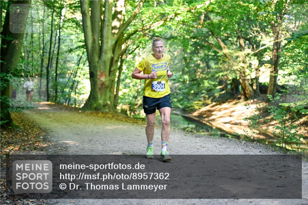 28.09.2025 - 33. Volkslauf durch das schöne Alstertal Dr. Thomas Lammeyer http://msf.ph/oto/8957362 28.09.2025 10:48:07 Laufen 3904 meine-sportfotos.de