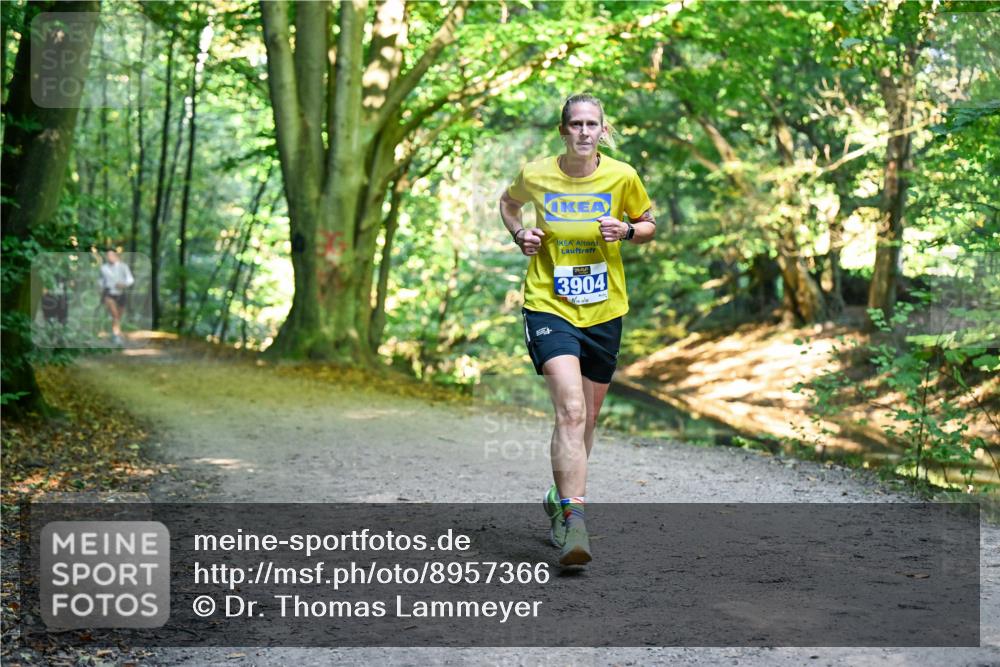 28.09.2025 - 33. Volkslauf durch das schöne Alstertal Dr. Thomas Lammeyer http://msf.ph/oto/8957366 28.09.2025 10:48:07 Laufen 3904 meine-sportfotos.de
