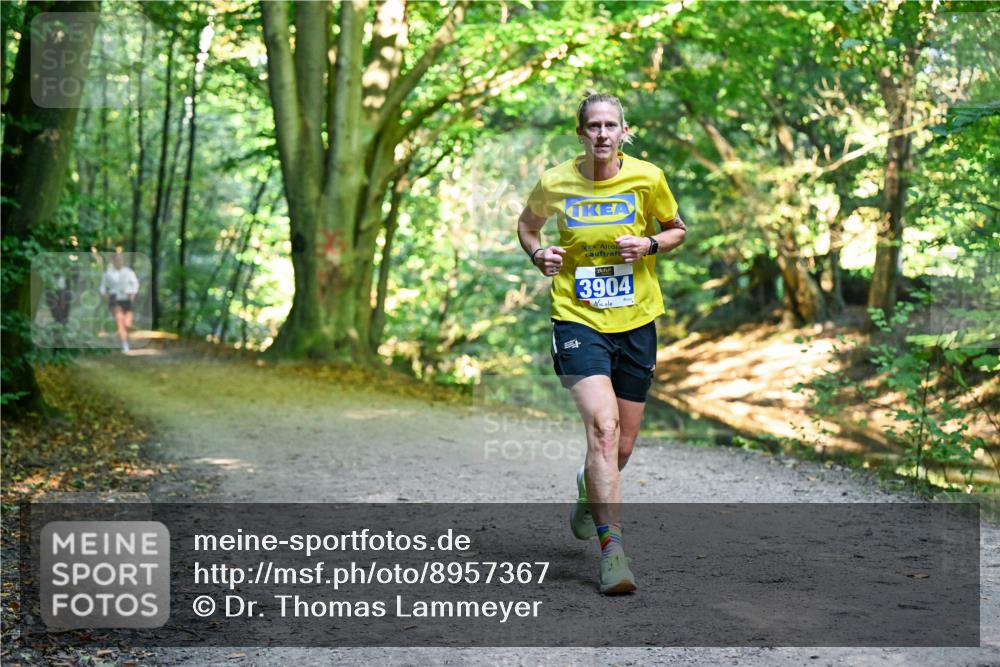 28.09.2025 - 33. Volkslauf durch das schöne Alstertal Dr. Thomas Lammeyer http://msf.ph/oto/8957367 28.09.2025 10:48:07 Laufen 3904 meine-sportfotos.de
