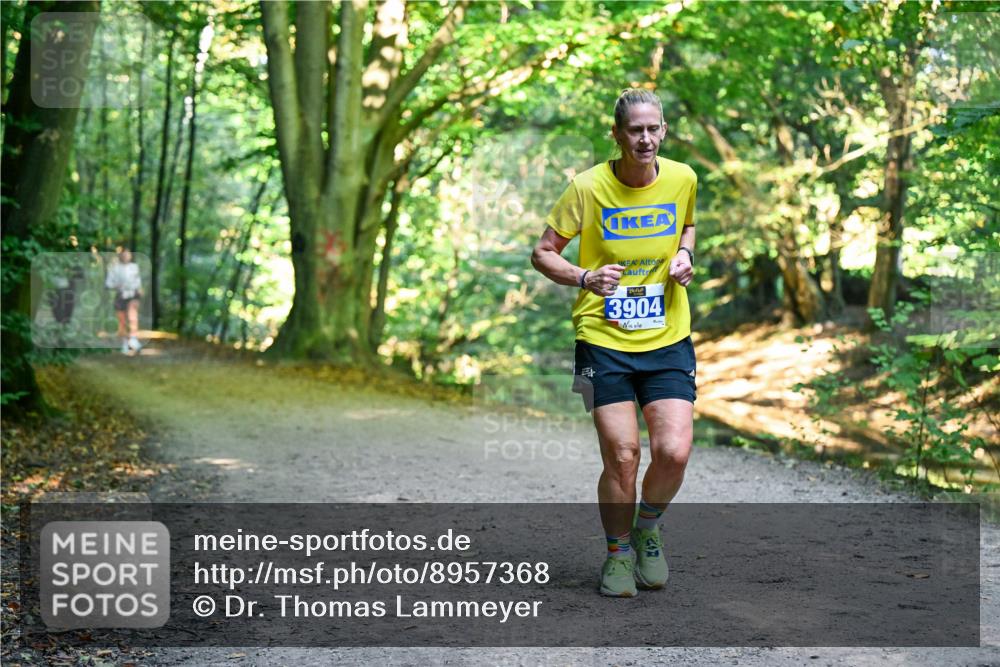 28.09.2025 - 33. Volkslauf durch das schöne Alstertal Dr. Thomas Lammeyer http://msf.ph/oto/8957368 28.09.2025 10:48:07 Laufen 3904 meine-sportfotos.de