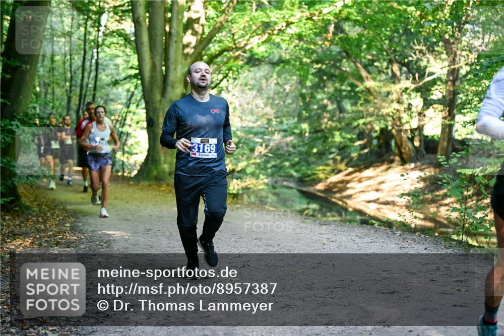 28.09.2025 - 33. Volkslauf durch das schöne Alstertal Dr. Thomas Lammeyer http://msf.ph/oto/8957387 28.09.2025 10:48:14 Laufen 3169 meine-sportfotos.de