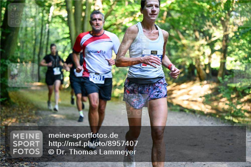 28.09.2025 - 33. Volkslauf durch das schöne Alstertal Dr. Thomas Lammeyer http://msf.ph/oto/8957407 28.09.2025 10:48:17 Laufen 3201 meine-sportfotos.de