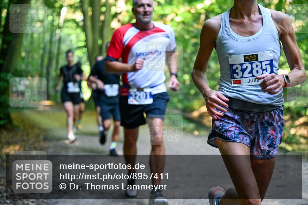 28.09.2025 - 33. Volkslauf durch das schöne Alstertal Dr. Thomas Lammeyer http://msf.ph/oto/8957411 28.09.2025 10:48:18 Laufen 3201, 3285 meine-sportfotos.de