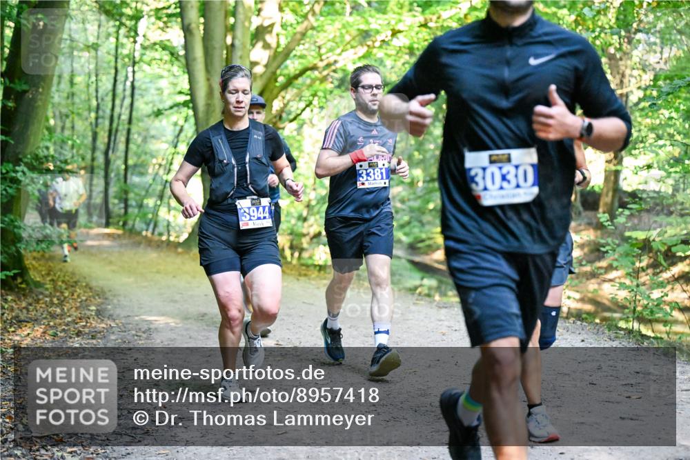 28.09.2025 - 33. Volkslauf durch das schöne Alstertal Dr. Thomas Lammeyer http://msf.ph/oto/8957418 28.09.2025 10:48:19 Laufen 944, 3381, 3030 meine-sportfotos.de