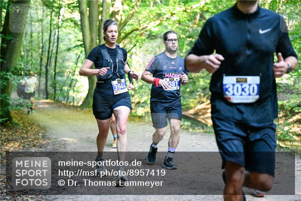 28.09.2025 - 33. Volkslauf durch das schöne Alstertal Dr. Thomas Lammeyer http://msf.ph/oto/8957419 28.09.2025 10:48:20 Laufen 3944, 381, 3030 meine-sportfotos.de