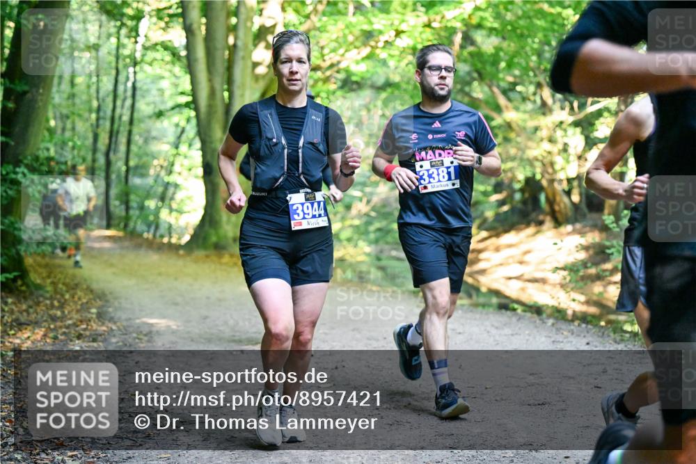 28.09.2025 - 33. Volkslauf durch das schöne Alstertal Dr. Thomas Lammeyer http://msf.ph/oto/8957421 28.09.2025 10:48:20 Laufen 3944, 3381 meine-sportfotos.de