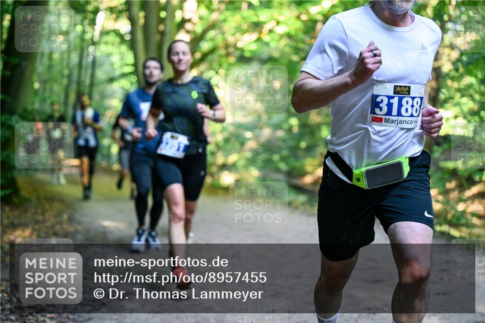 28.09.2025 - 33. Volkslauf durch das schöne Alstertal Dr. Thomas Lammeyer http://msf.ph/oto/8957455 28.09.2025 10:48:26 Laufen 8, 3188 meine-sportfotos.de