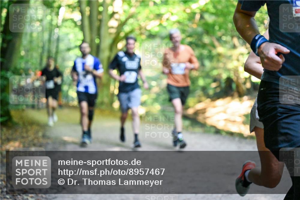 28.09.2025 - 33. Volkslauf durch das schöne Alstertal Dr. Thomas Lammeyer http://msf.ph/oto/8957467 28.09.2025 10:48:28 Laufen  meine-sportfotos.de