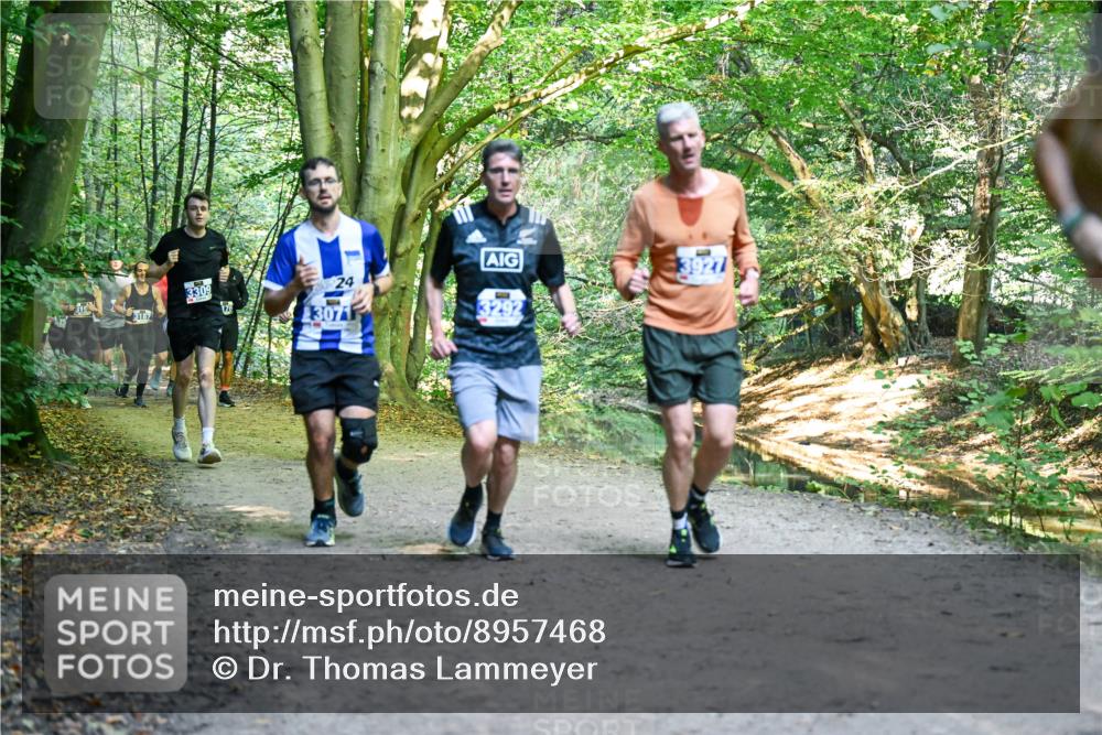 28.09.2025 - 33. Volkslauf durch das schöne Alstertal Dr. Thomas Lammeyer http://msf.ph/oto/8957468 28.09.2025 10:48:28 Laufen 3187, 3309, 24, 3071 meine-sportfotos.de