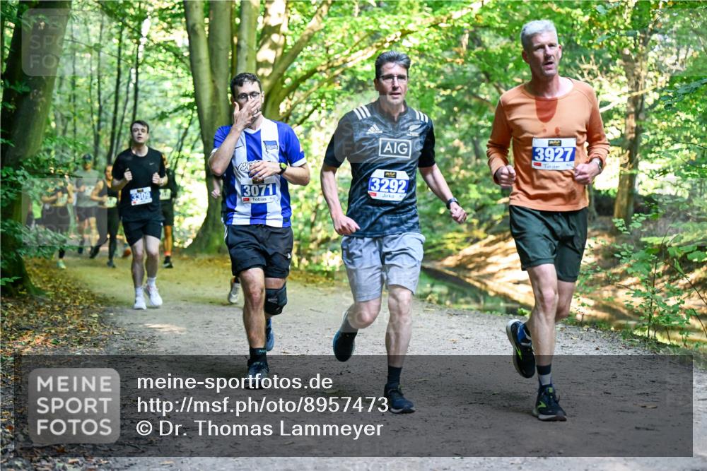 28.09.2025 - 33. Volkslauf durch das schöne Alstertal Dr. Thomas Lammeyer http://msf.ph/oto/8957473 28.09.2025 10:48:28 Laufen 3309, 3071, 3292, 3927 meine-sportfotos.de