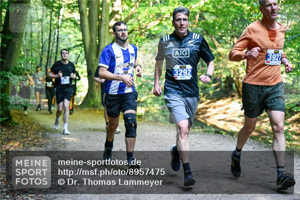 28.09.2025 - 33. Volkslauf durch das schöne Alstertal Dr. Thomas Lammeyer http://msf.ph/oto/8957475 28.09.2025 10:48:29 Laufen 24, 3292, 3927 meine-sportfotos.de