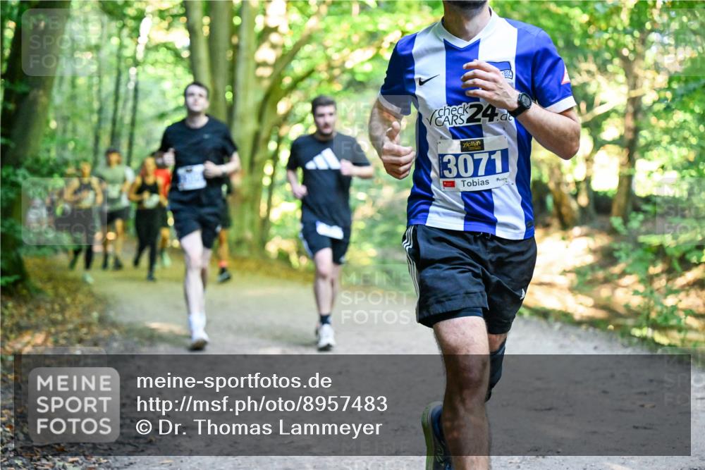 28.09.2025 - 33. Volkslauf durch das schöne Alstertal Dr. Thomas Lammeyer http://msf.ph/oto/8957483 28.09.2025 10:48:30 Laufen 24, 98, 3071 meine-sportfotos.de