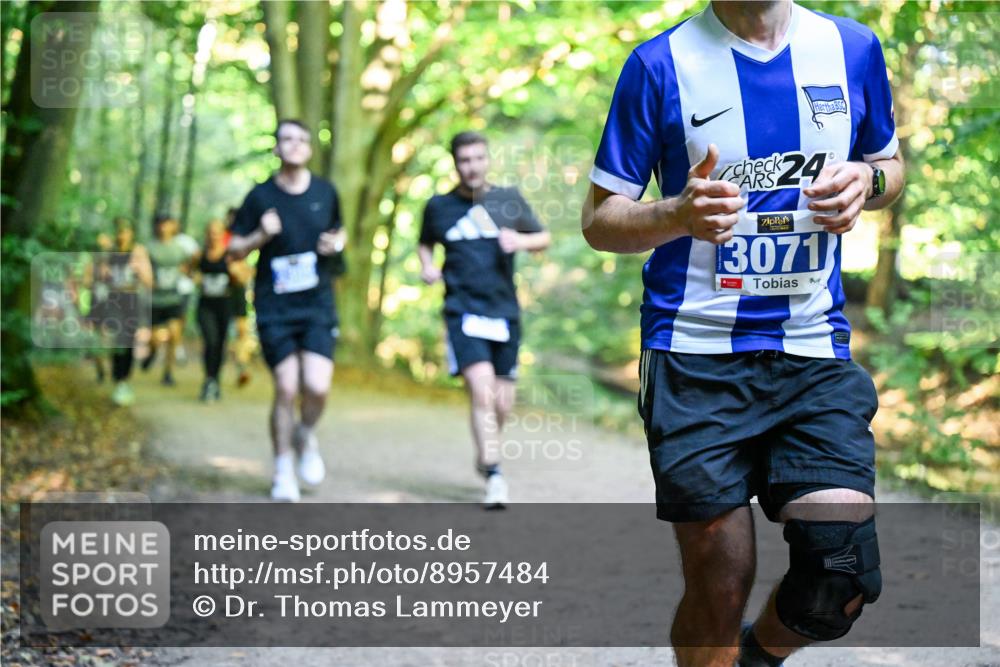 28.09.2025 - 33. Volkslauf durch das schöne Alstertal Dr. Thomas Lammeyer http://msf.ph/oto/8957484 28.09.2025 10:48:30 Laufen 24, 3071 meine-sportfotos.de