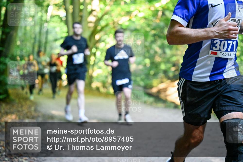 28.09.2025 - 33. Volkslauf durch das schöne Alstertal Dr. Thomas Lammeyer http://msf.ph/oto/8957485 28.09.2025 10:48:30 Laufen 3071 meine-sportfotos.de