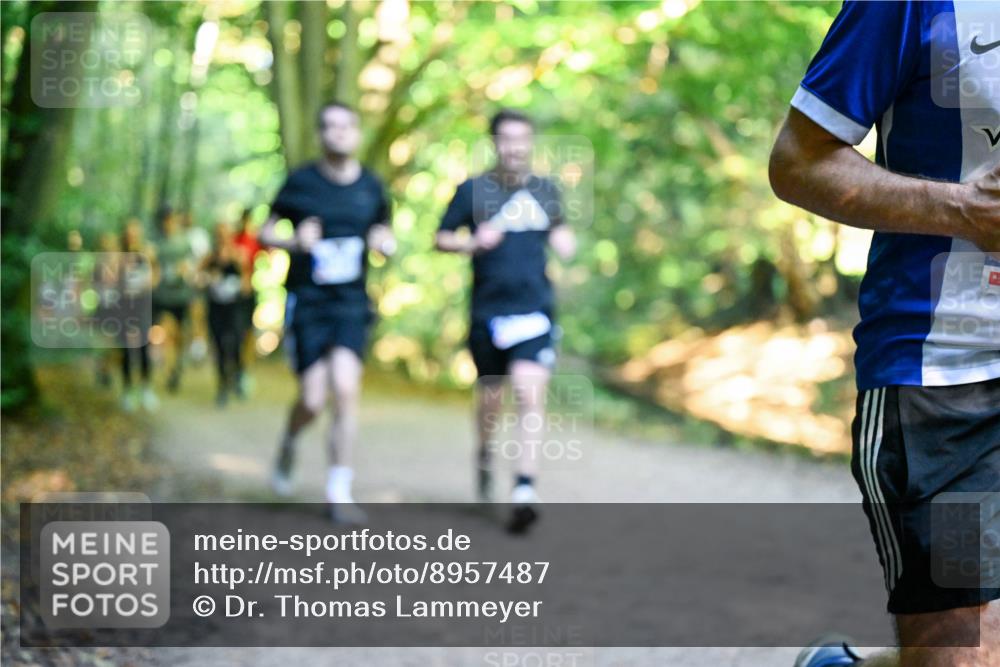 28.09.2025 - 33. Volkslauf durch das schöne Alstertal Dr. Thomas Lammeyer http://msf.ph/oto/8957487 28.09.2025 10:48:30 Laufen  meine-sportfotos.de