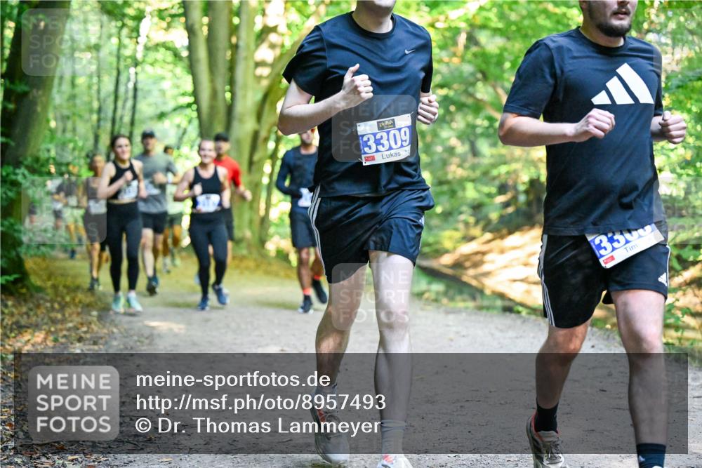 28.09.2025 - 33. Volkslauf durch das schöne Alstertal Dr. Thomas Lammeyer http://msf.ph/oto/8957493 28.09.2025 10:48:32 Laufen 3309, 3300 meine-sportfotos.de