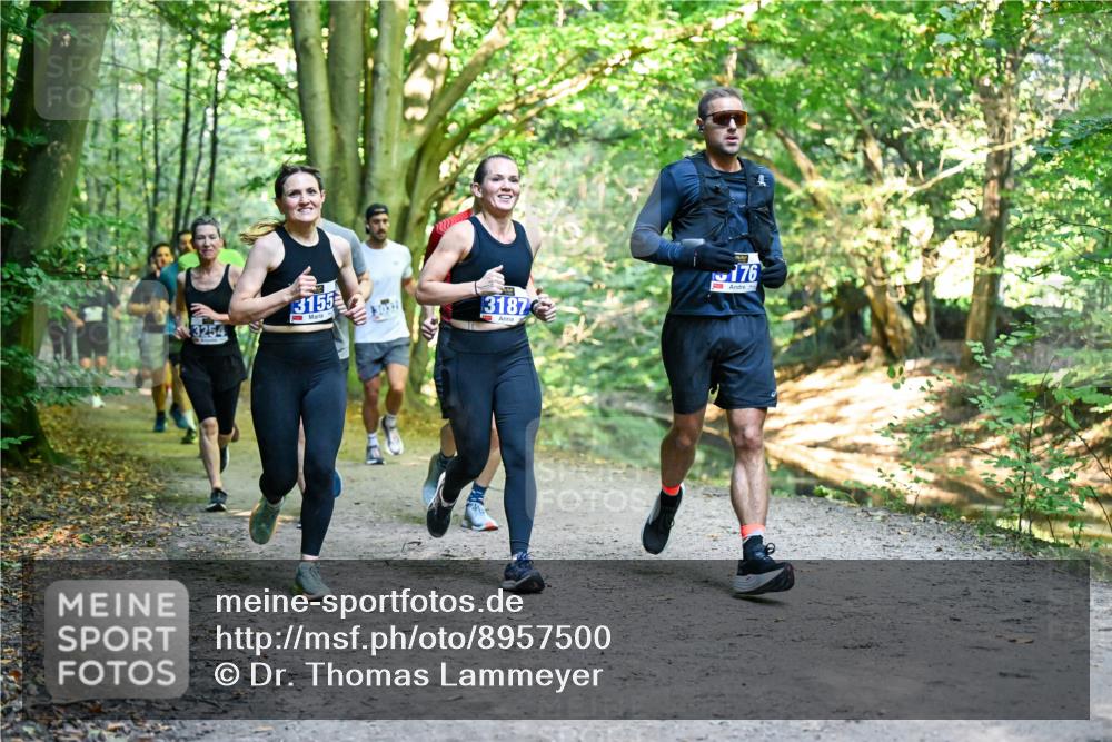 28.09.2025 - 33. Volkslauf durch das schöne Alstertal Dr. Thomas Lammeyer http://msf.ph/oto/8957500 28.09.2025 10:48:33 Laufen 3254, 3155, 303, 3187, 176 meine-sportfotos.de