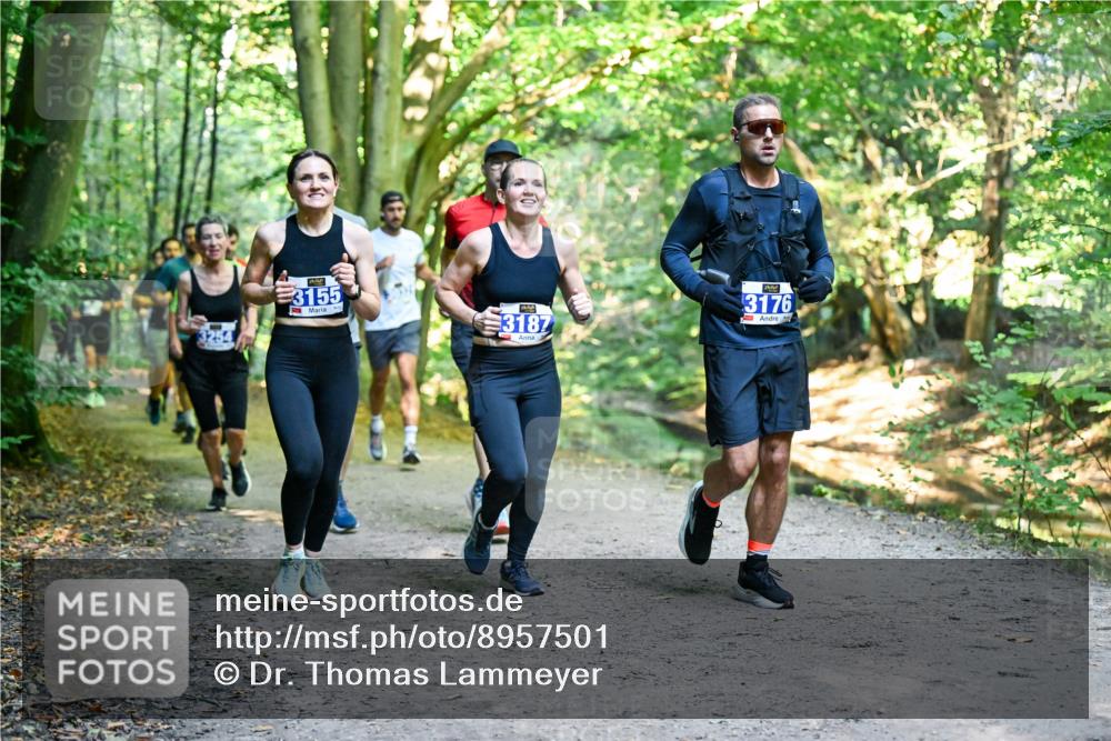 28.09.2025 - 33. Volkslauf durch das schöne Alstertal Dr. Thomas Lammeyer http://msf.ph/oto/8957501 28.09.2025 10:48:33 Laufen 3155, 3187, 3176 meine-sportfotos.de