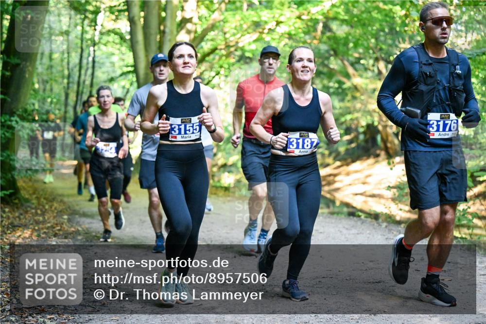 28.09.2025 - 33. Volkslauf durch das schöne Alstertal Dr. Thomas Lammeyer http://msf.ph/oto/8957506 28.09.2025 10:48:34 Laufen 3155, 3187, 3176 meine-sportfotos.de