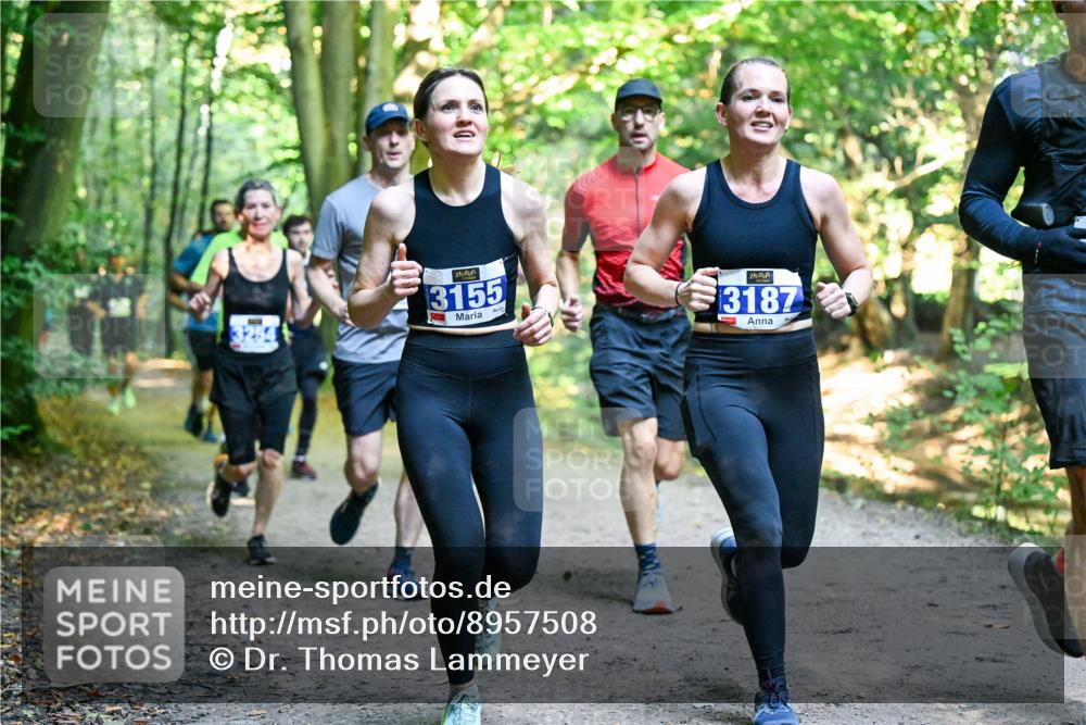 28.09.2025 - 33. Volkslauf durch das schöne Alstertal Dr. Thomas Lammeyer http://msf.ph/oto/8957508 28.09.2025 10:48:34 Laufen 3155, 3187 meine-sportfotos.de