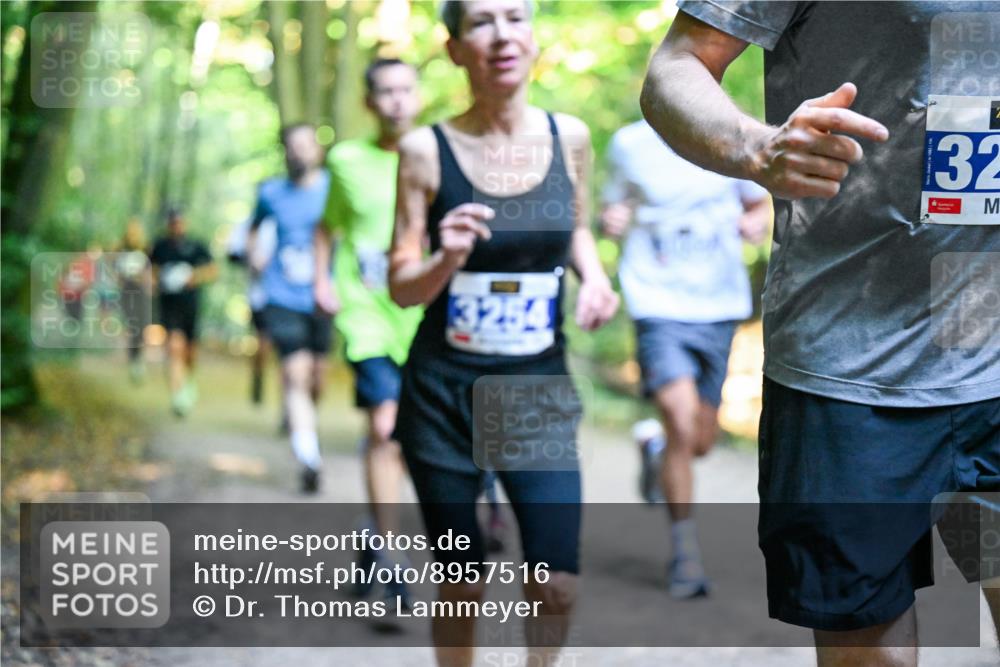 28.09.2025 - 33. Volkslauf durch das schöne Alstertal Dr. Thomas Lammeyer http://msf.ph/oto/8957516 28.09.2025 10:48:36 Laufen 3254, 2, 32 meine-sportfotos.de
