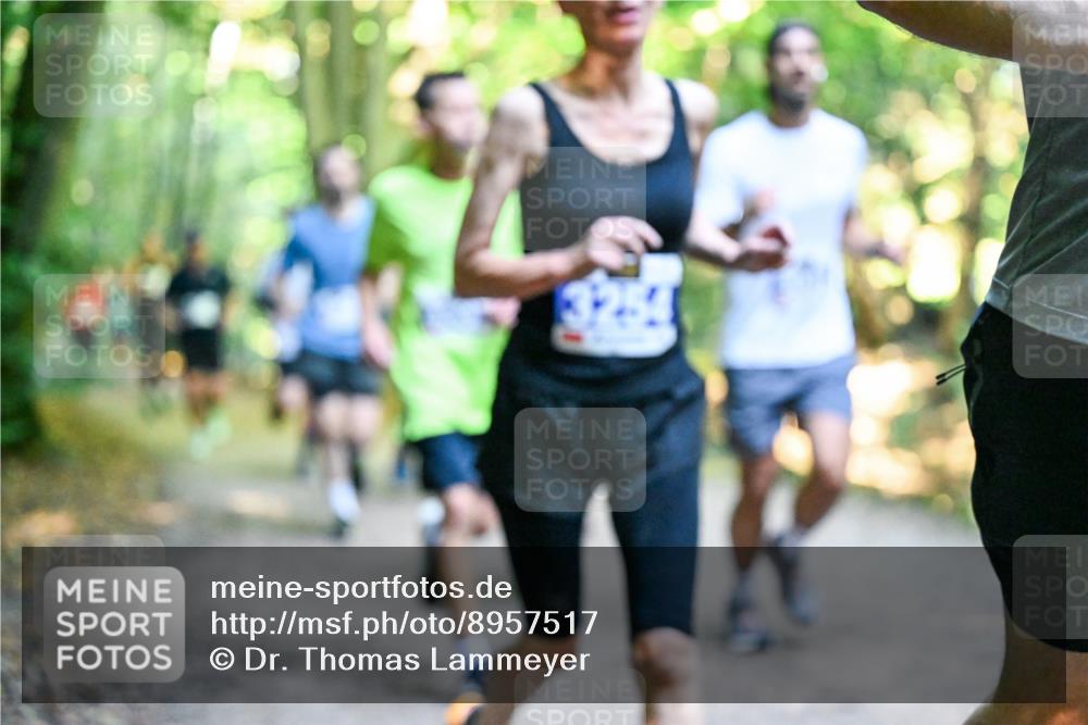 28.09.2025 - 33. Volkslauf durch das schöne Alstertal Dr. Thomas Lammeyer http://msf.ph/oto/8957517 28.09.2025 10:48:36 Laufen  meine-sportfotos.de