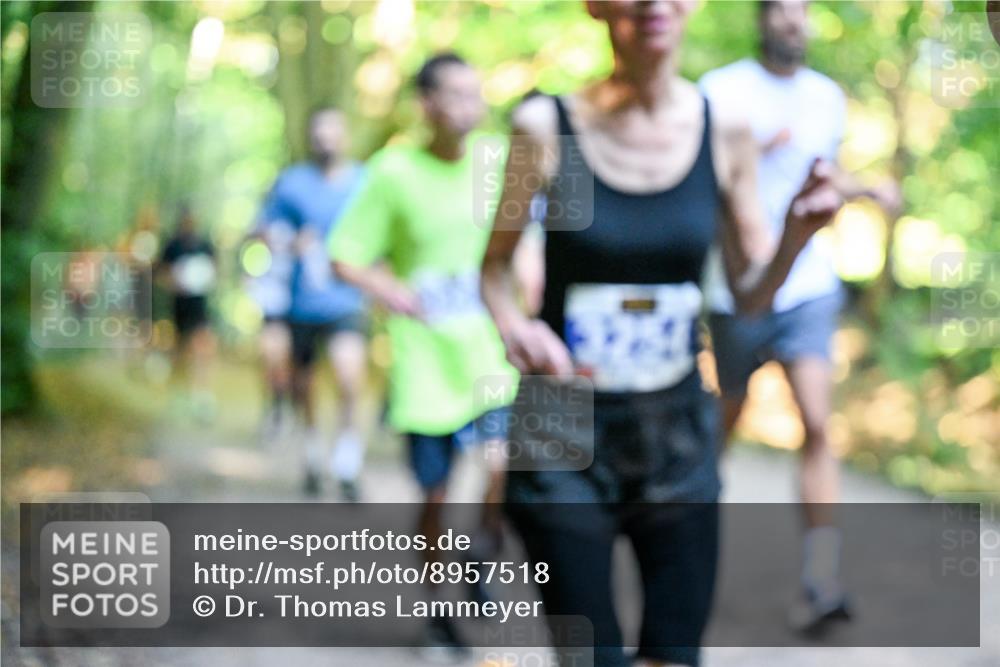 28.09.2025 - 33. Volkslauf durch das schöne Alstertal Dr. Thomas Lammeyer http://msf.ph/oto/8957518 28.09.2025 10:48:36 Laufen  meine-sportfotos.de