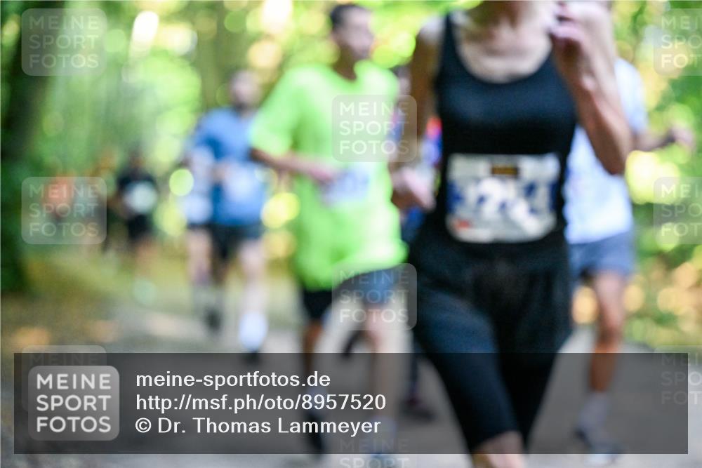 28.09.2025 - 33. Volkslauf durch das schöne Alstertal Dr. Thomas Lammeyer http://msf.ph/oto/8957520 28.09.2025 10:48:37 Laufen  meine-sportfotos.de