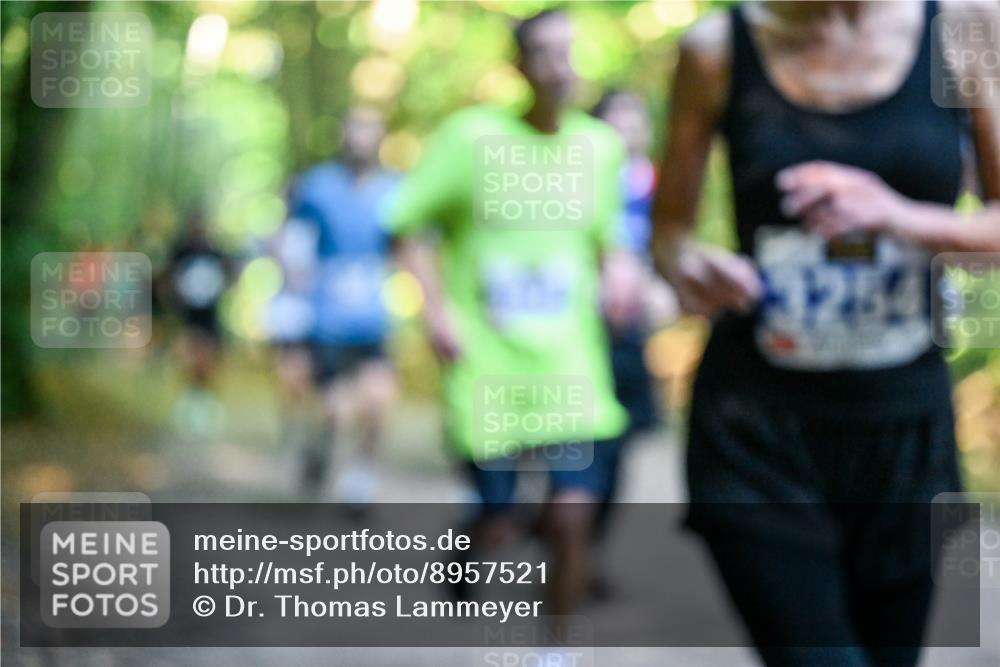 28.09.2025 - 33. Volkslauf durch das schöne Alstertal Dr. Thomas Lammeyer http://msf.ph/oto/8957521 28.09.2025 10:48:37 Laufen 1254 meine-sportfotos.de