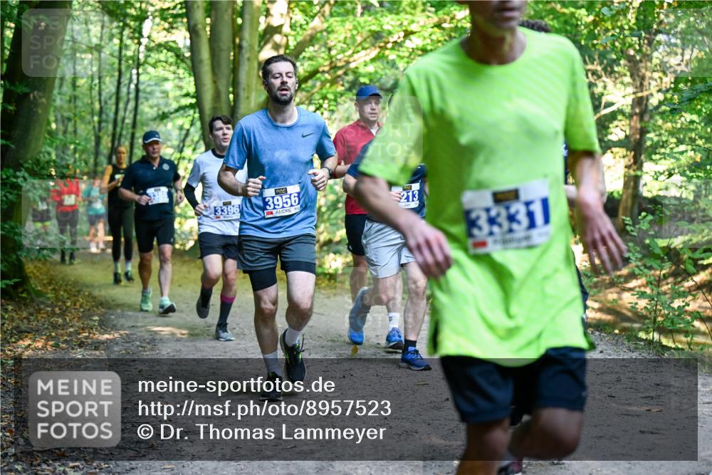 28.09.2025 - 33. Volkslauf durch das schöne Alstertal Dr. Thomas Lammeyer http://msf.ph/oto/8957523 28.09.2025 10:48:37 Laufen 3396, 3956, 213, 3331 meine-sportfotos.de