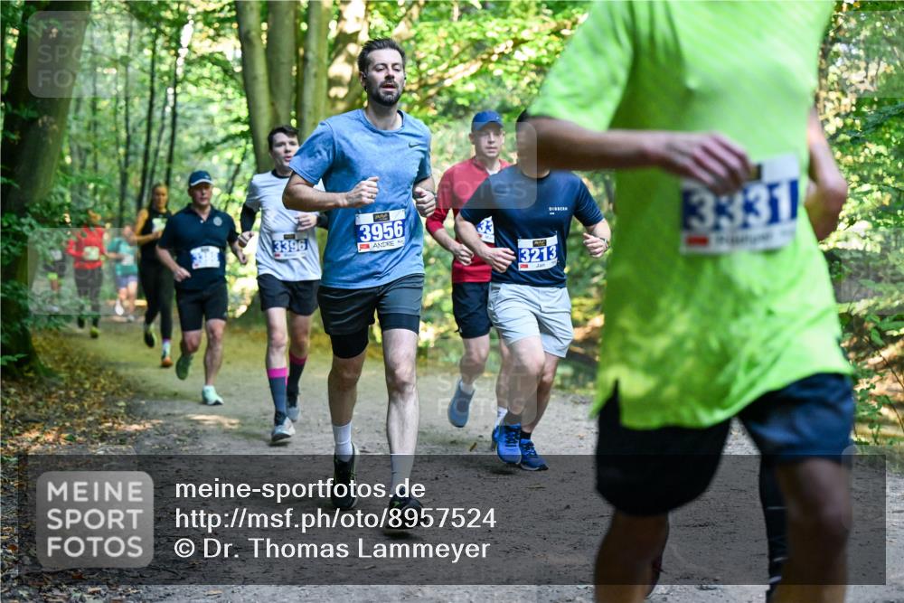 28.09.2025 - 33. Volkslauf durch das schöne Alstertal Dr. Thomas Lammeyer http://msf.ph/oto/8957524 28.09.2025 10:48:37 Laufen 3396, 3956, 3213, 3331 meine-sportfotos.de