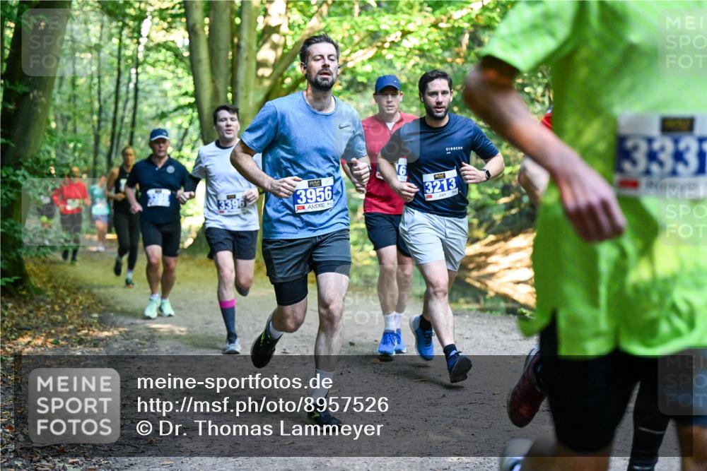 28.09.2025 - 33. Volkslauf durch das schöne Alstertal Dr. Thomas Lammeyer http://msf.ph/oto/8957526 28.09.2025 10:48:37 Laufen 333, 3396, 3956, 3213 meine-sportfotos.de
