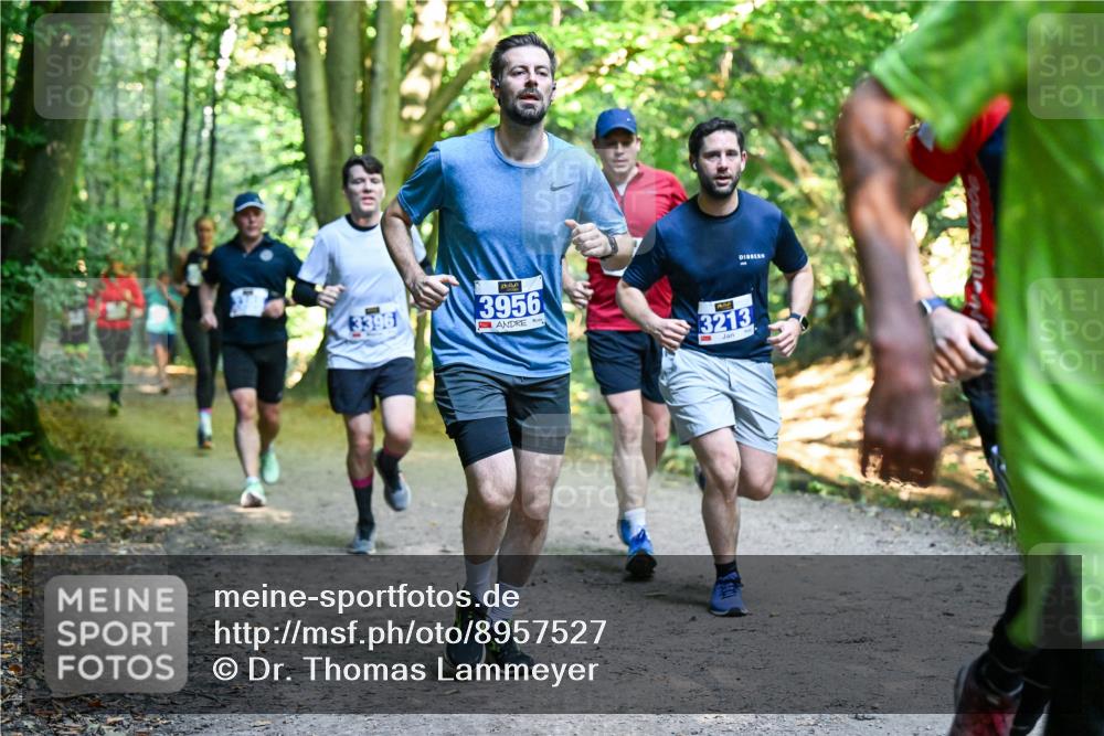 28.09.2025 - 33. Volkslauf durch das schöne Alstertal Dr. Thomas Lammeyer http://msf.ph/oto/8957527 28.09.2025 10:48:38 Laufen 3396, 3956, 3213 meine-sportfotos.de
