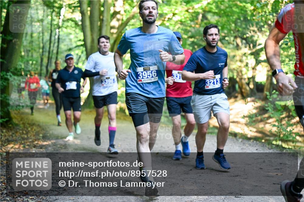 28.09.2025 - 33. Volkslauf durch das schöne Alstertal Dr. Thomas Lammeyer http://msf.ph/oto/8957528 28.09.2025 10:48:38 Laufen 3956, 3213 meine-sportfotos.de