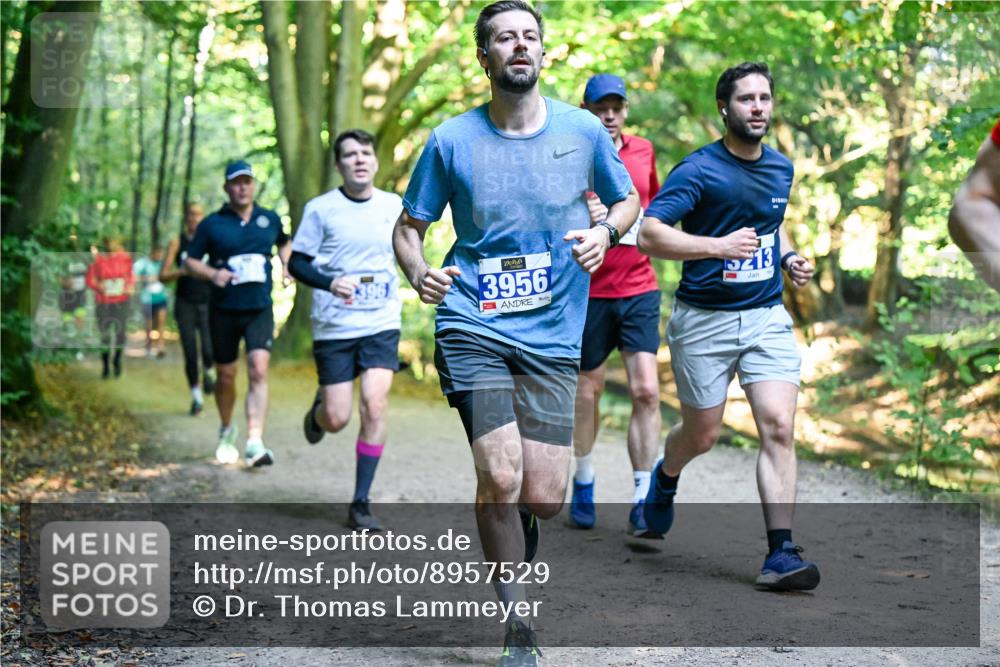 28.09.2025 - 33. Volkslauf durch das schöne Alstertal Dr. Thomas Lammeyer http://msf.ph/oto/8957529 28.09.2025 10:48:38 Laufen 3956, 5213 meine-sportfotos.de