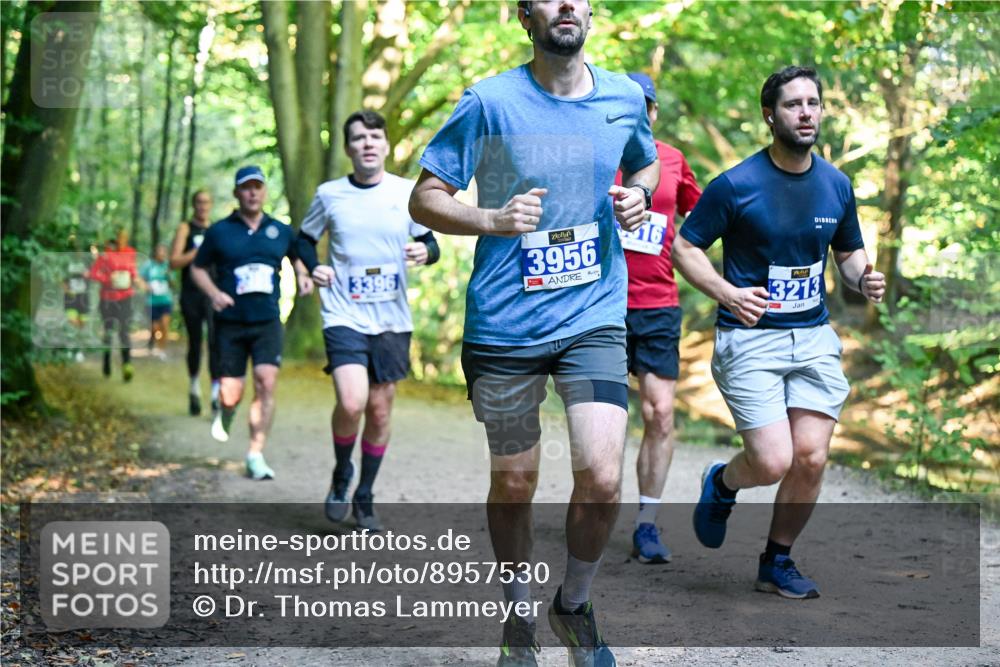 28.09.2025 - 33. Volkslauf durch das schöne Alstertal Dr. Thomas Lammeyer http://msf.ph/oto/8957530 28.09.2025 10:48:38 Laufen 3396, 3956, 16, 3213 meine-sportfotos.de
