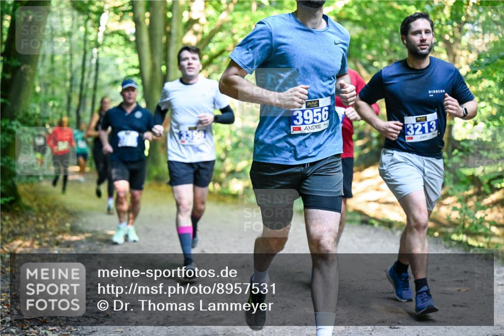 28.09.2025 - 33. Volkslauf durch das schöne Alstertal Dr. Thomas Lammeyer http://msf.ph/oto/8957531 28.09.2025 10:48:38 Laufen 3956, 3213 meine-sportfotos.de