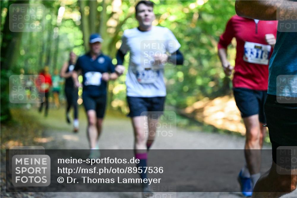 28.09.2025 - 33. Volkslauf durch das schöne Alstertal Dr. Thomas Lammeyer http://msf.ph/oto/8957536 28.09.2025 10:48:39 Laufen  meine-sportfotos.de