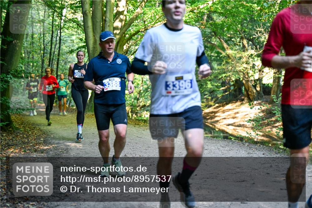 28.09.2025 - 33. Volkslauf durch das schöne Alstertal Dr. Thomas Lammeyer http://msf.ph/oto/8957537 28.09.2025 10:48:39 Laufen 3306, 308, 3388, 3396 meine-sportfotos.de