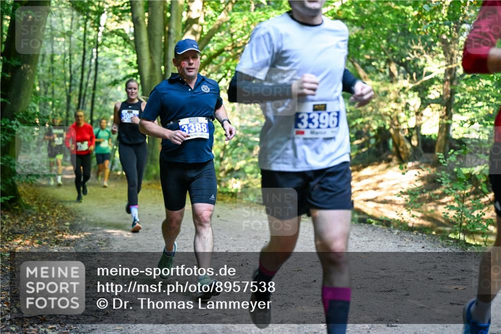 28.09.2025 - 33. Volkslauf durch das schöne Alstertal Dr. Thomas Lammeyer http://msf.ph/oto/8957538 28.09.2025 10:48:39 Laufen 3388, 3396 meine-sportfotos.de