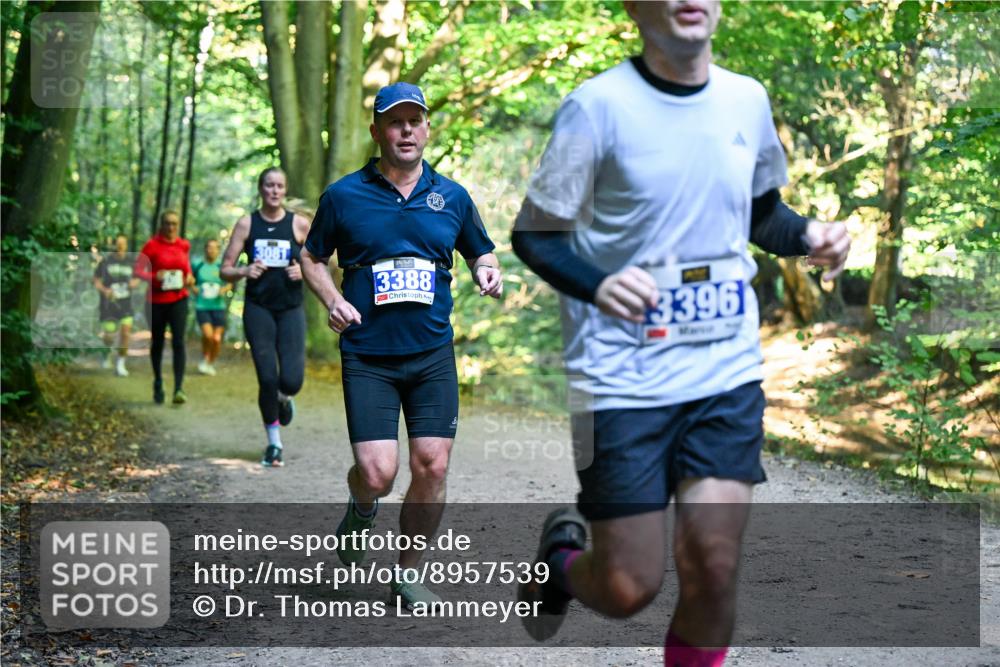 28.09.2025 - 33. Volkslauf durch das schöne Alstertal Dr. Thomas Lammeyer http://msf.ph/oto/8957539 28.09.2025 10:48:39 Laufen 3388, 3396 meine-sportfotos.de