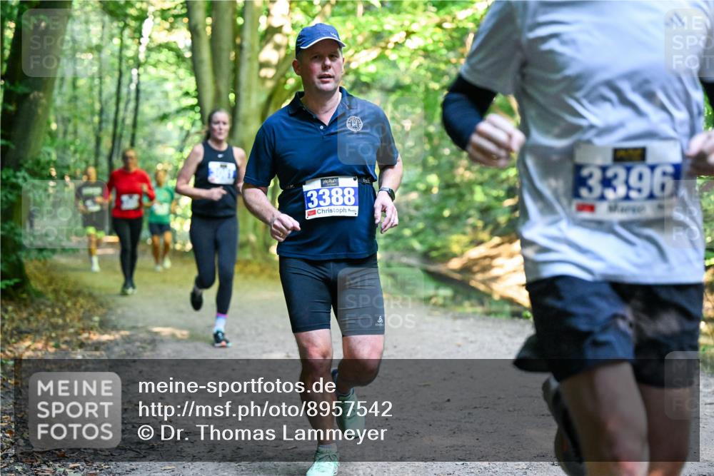 28.09.2025 - 33. Volkslauf durch das schöne Alstertal Dr. Thomas Lammeyer http://msf.ph/oto/8957542 28.09.2025 10:48:40 Laufen 3388, 3396 meine-sportfotos.de