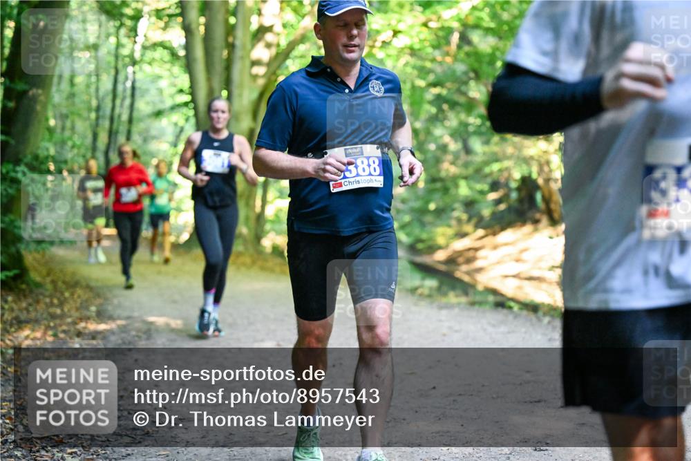 28.09.2025 - 33. Volkslauf durch das schöne Alstertal Dr. Thomas Lammeyer http://msf.ph/oto/8957543 28.09.2025 10:48:40 Laufen 588, 33 meine-sportfotos.de