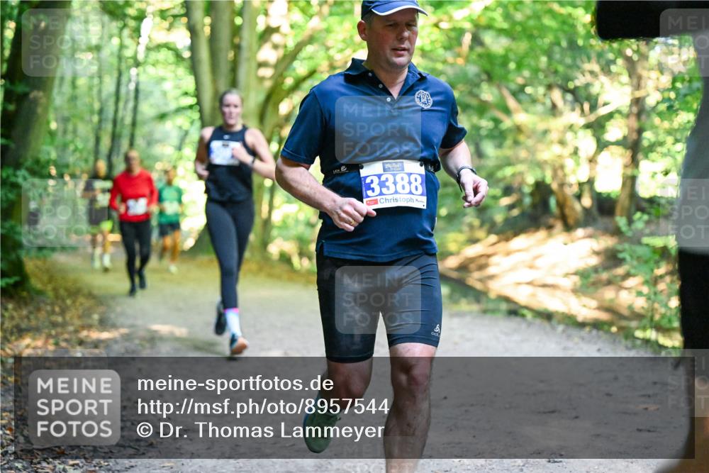 28.09.2025 - 33. Volkslauf durch das schöne Alstertal Dr. Thomas Lammeyer http://msf.ph/oto/8957544 28.09.2025 10:48:40 Laufen 3388 meine-sportfotos.de