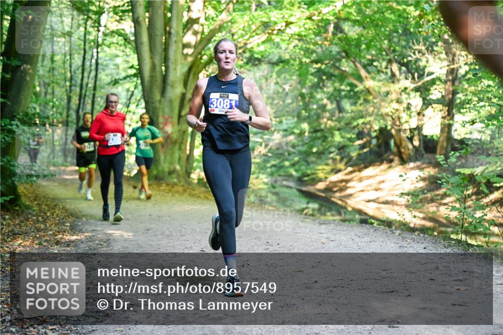 28.09.2025 - 33. Volkslauf durch das schöne Alstertal Dr. Thomas Lammeyer http://msf.ph/oto/8957549 28.09.2025 10:48:41 Laufen 3081 meine-sportfotos.de
