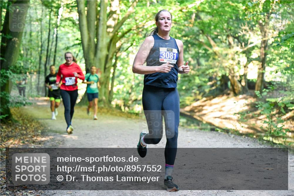 28.09.2025 - 33. Volkslauf durch das schöne Alstertal Dr. Thomas Lammeyer http://msf.ph/oto/8957552 28.09.2025 10:48:41 Laufen 3081 meine-sportfotos.de