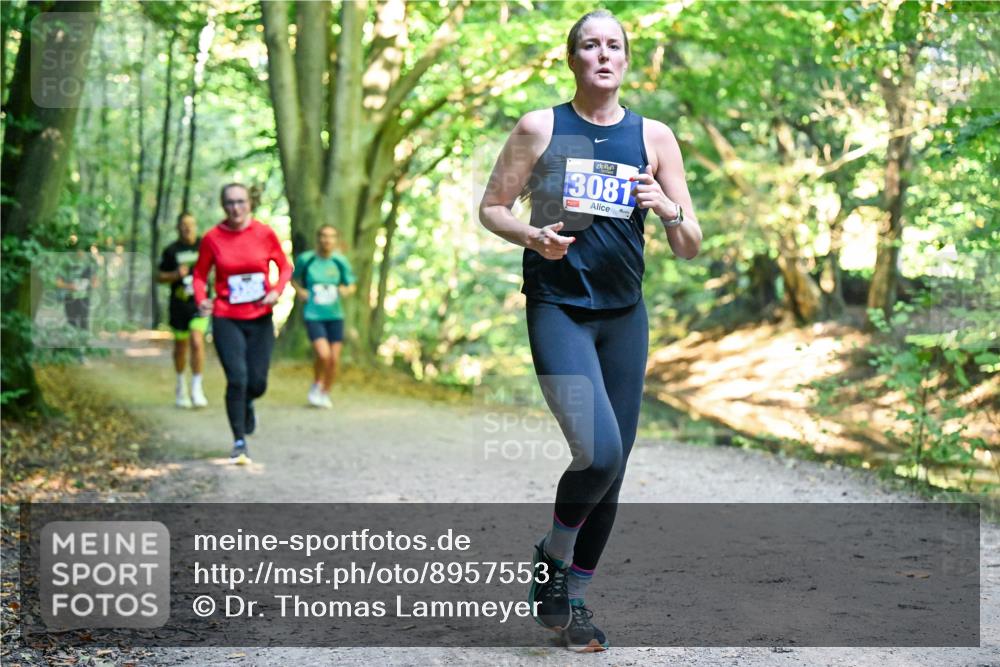 28.09.2025 - 33. Volkslauf durch das schöne Alstertal Dr. Thomas Lammeyer http://msf.ph/oto/8957553 28.09.2025 10:48:41 Laufen 3081 meine-sportfotos.de