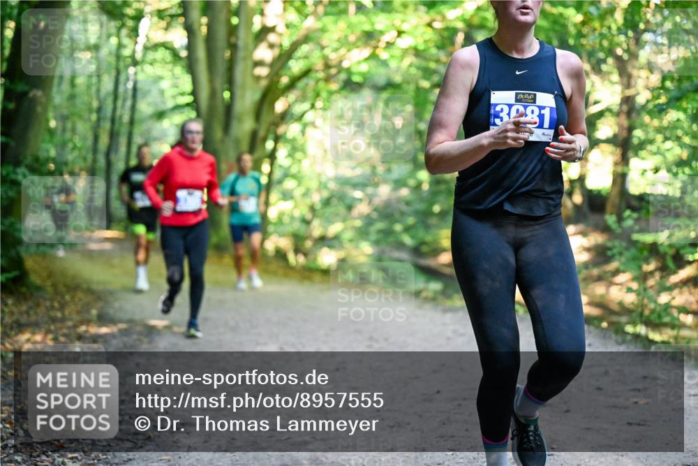 28.09.2025 - 33. Volkslauf durch das schöne Alstertal Dr. Thomas Lammeyer http://msf.ph/oto/8957555 28.09.2025 10:48:42 Laufen 3231 meine-sportfotos.de
